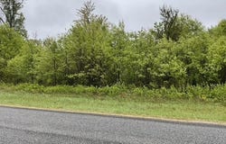 Lot 45 10th Street, Necedah, WI 54646