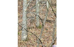 863 Fuller Harding Road, Campbellsville, KY 42718