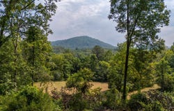 188 POUNDING BRANCH RD lot: 5.681 Ac, AFTON, VA 22920
