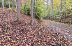 0 Cara Way, Cosby, TN 37722