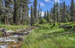 63 Upper Red River Valley Rd, Red River, NM 87558-0063