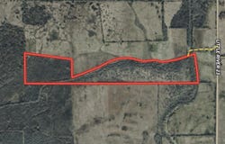 Pine Prairie Rd., Ashdown, AR 71822-0000