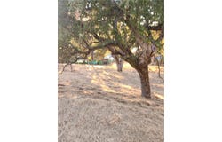 2623 Crows Nest, Bradley, CA 93426
