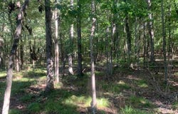 0 Co Hwy 75, Russellville, AL 35654