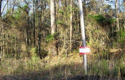 TBD LR 29, Ashdown, AR 71822