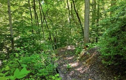 618 Dark Ridge Road, Sylva, NC 28779