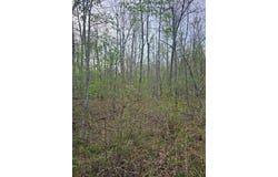 Lot 7 E Overlook rd, MONTEREY, TN 38574