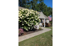 11297 56th Avenue, Allendale, MI 49401