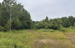 TBD Rova - 120 Acres, Atlantic Mine, MI 49905