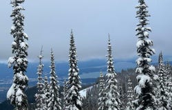 L3 B2 Tall Timber, Sandpoint, ID 83864