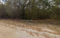 GUY AVENUE, INTERLACHEN, FL 32148