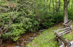 177 Lake Drive, Topton, NC 28781