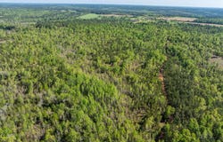 0 WHITAKER Road, Dearing, GA 30808