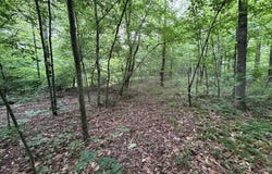 120 Troy Avenue, Stanford, KY 40484