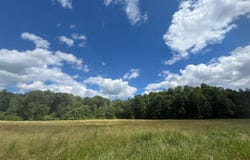 0 River Ln Lane, Juliette, GA 31046