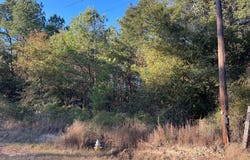 Hamilton Drive, Albany, GA 31721