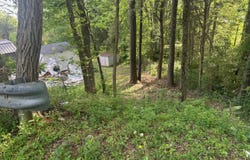 Jerry Street, Trinity, NC 27370