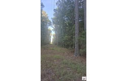 FM 561, Simms, TX 75574