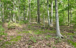 Mosquito Road, Six Mile Run, PA 16679