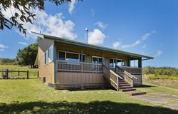 35-1183 HOMESTEAD RD, Laupahoehoe, HI 96764