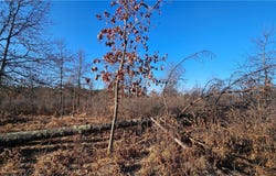 0 Lester Road, Springbrook, WI 54875