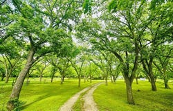 11320 County Road 528, Mansfield, TX 76063