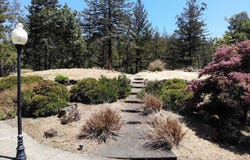 3829 Moss Hollow Court, Santa Rosa, CA 95404