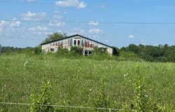 Tract #22 Statham Rd, Liberty, KY 42539