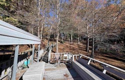 16 crypress Cove, Lewisville, AR 71845