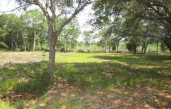 5816 Shady Bayou Ln, Milton, FL 32583