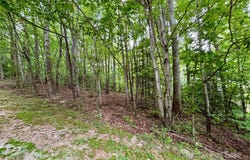 0 Sunlight Ridge Court, Hendersonville, NC 28792
