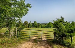 0 CR 345, Winona, TX 75792