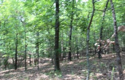 Country Club Drive, Theodosia, MO 65761