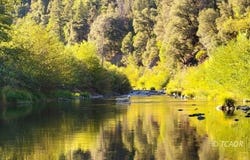 8480 St. John Road, Hyampom, CA 96046