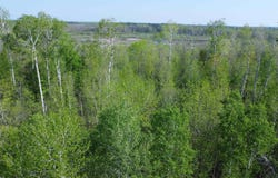 186TH AVENUE, Boyd, WI 54726