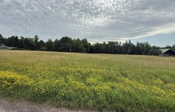 0000 Range Line Rd, Iron River, WI 54847
