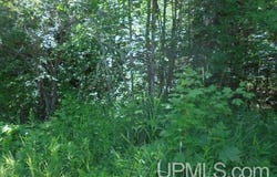 TBD E SHORE, Bergland, MI 49910