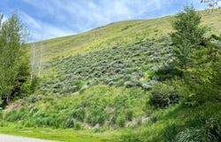 231 Hillside Dr, Ketchum, ID 83340