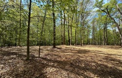 12636 MILL DAM DRIVE, CLIFTON, VA 20124
