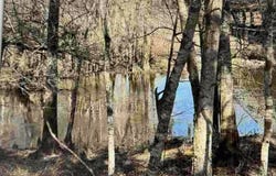 0 Griffin Ferry, Lyons, GA 30436