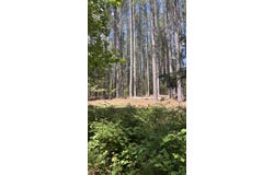 Tract 4 Foxfire Ln, Bedford, VA 24523