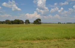 FM 607 S, Larue, TX 75770