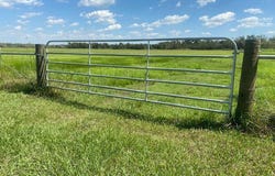 573 CR 154, Cedar Lane, TX 77414