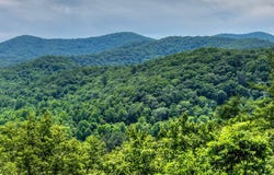 277 Hickory Nut Trail, Blue Ridge, GA 30513