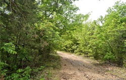 Tracts 26 and Tract 32, Hidden Bluff Circle, Brumley, MO 65017