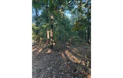 Skylark Road, Washburn, MO 65772