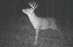 Simons Rd, Alma, WI 54610