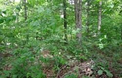 22 Hildebrand Drive, Huntingburg,, IN 47541