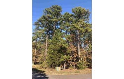 71 PINTUERERO, Hot Springs Village, AR 71909