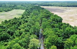 Addison Rd., Star City, AR 71667-0000